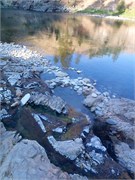 31262_Middle Fork